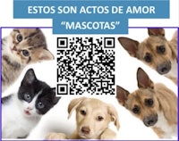 estos son actos de amor mascotas