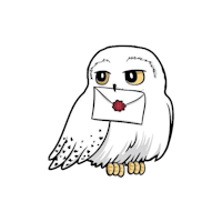 a white owl holding an envelope on a black background